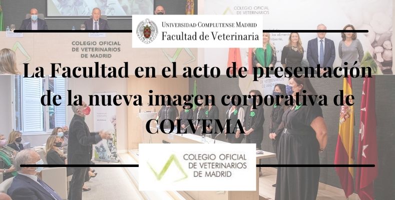 COLVEMA: Nueva Identidad Corporativa "Para un Nuevo Tiempo"